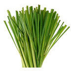 Lemon Grass 2.5oz