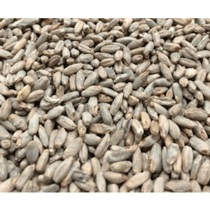 Rye Specialty Grain Malt