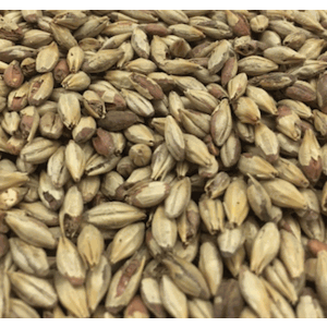 Aromatic Specialty Grain