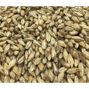 Carapils Specialty Grain Malt