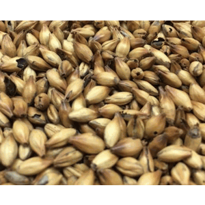 Sour Specialty Malt